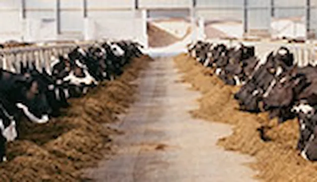 Eläinten rehu ja ainesosat - GMP+ FSA, FAMI-QS ja FSSC 22000
