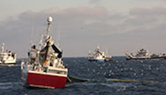 MSC-kalastusstandardi