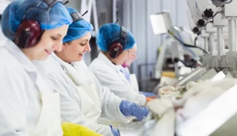 "Elintarviketurvallisuuden sertifiointistandardit vertailussa"-webinaarin tallenne