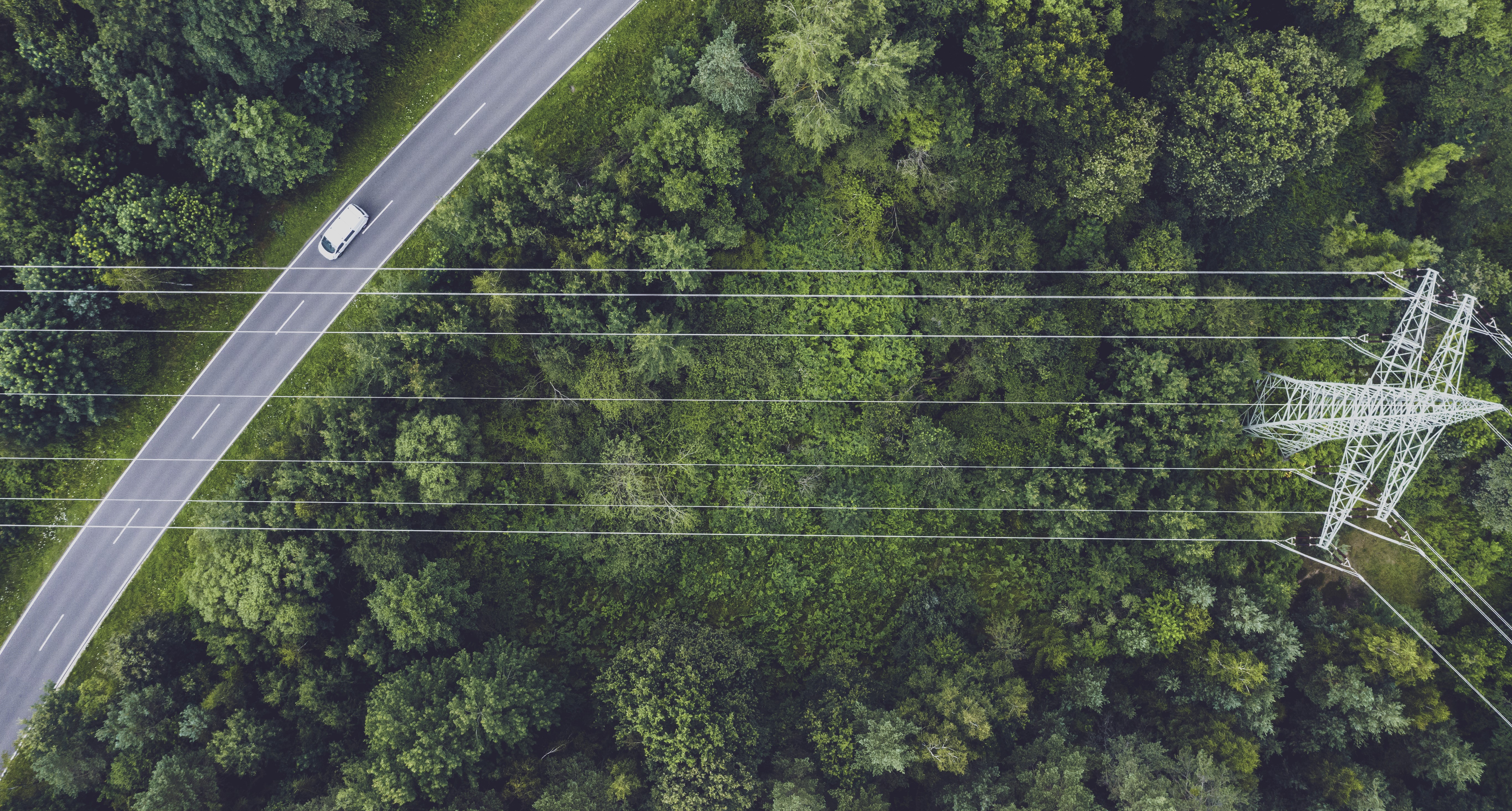 Auto tiellä puiden ympäröimänä