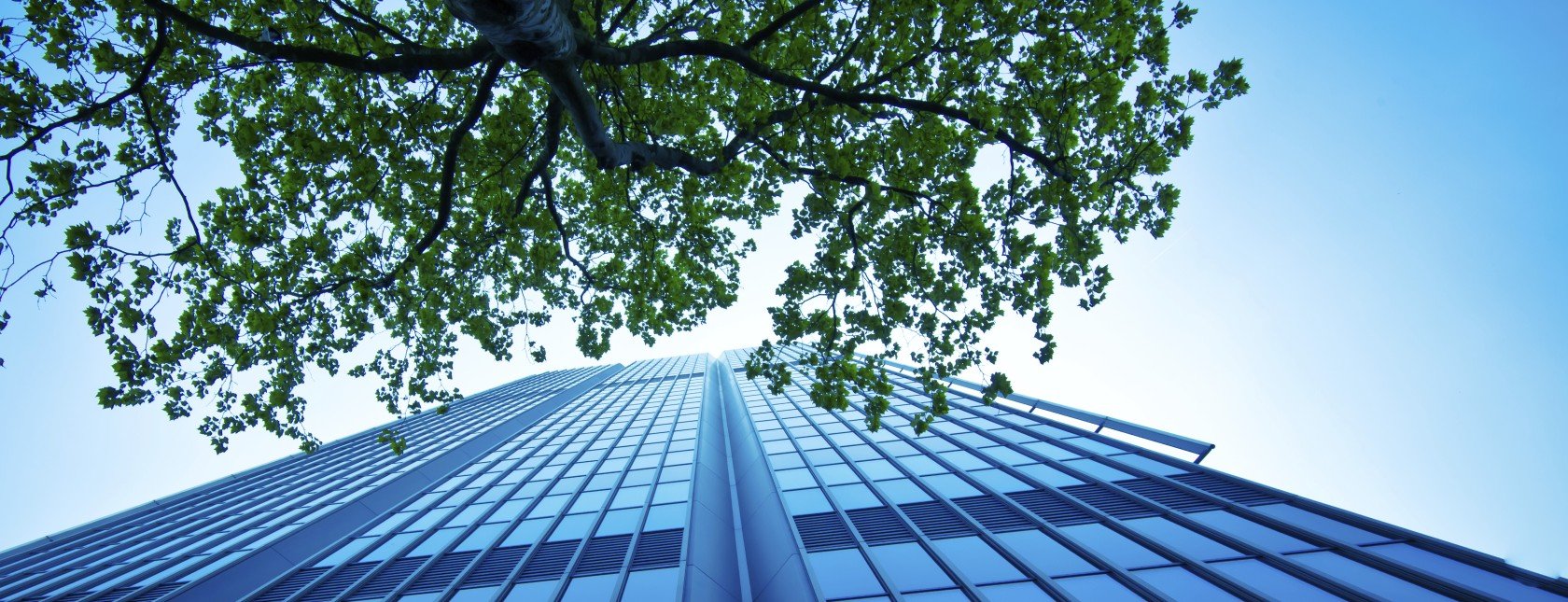 toimistorakennus kuvattu alhaalta päin jonka edessä puu