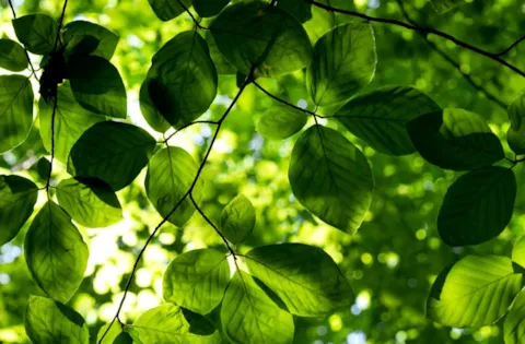 ISO 14001:2015 -vaatimukset eLearning-kurssi