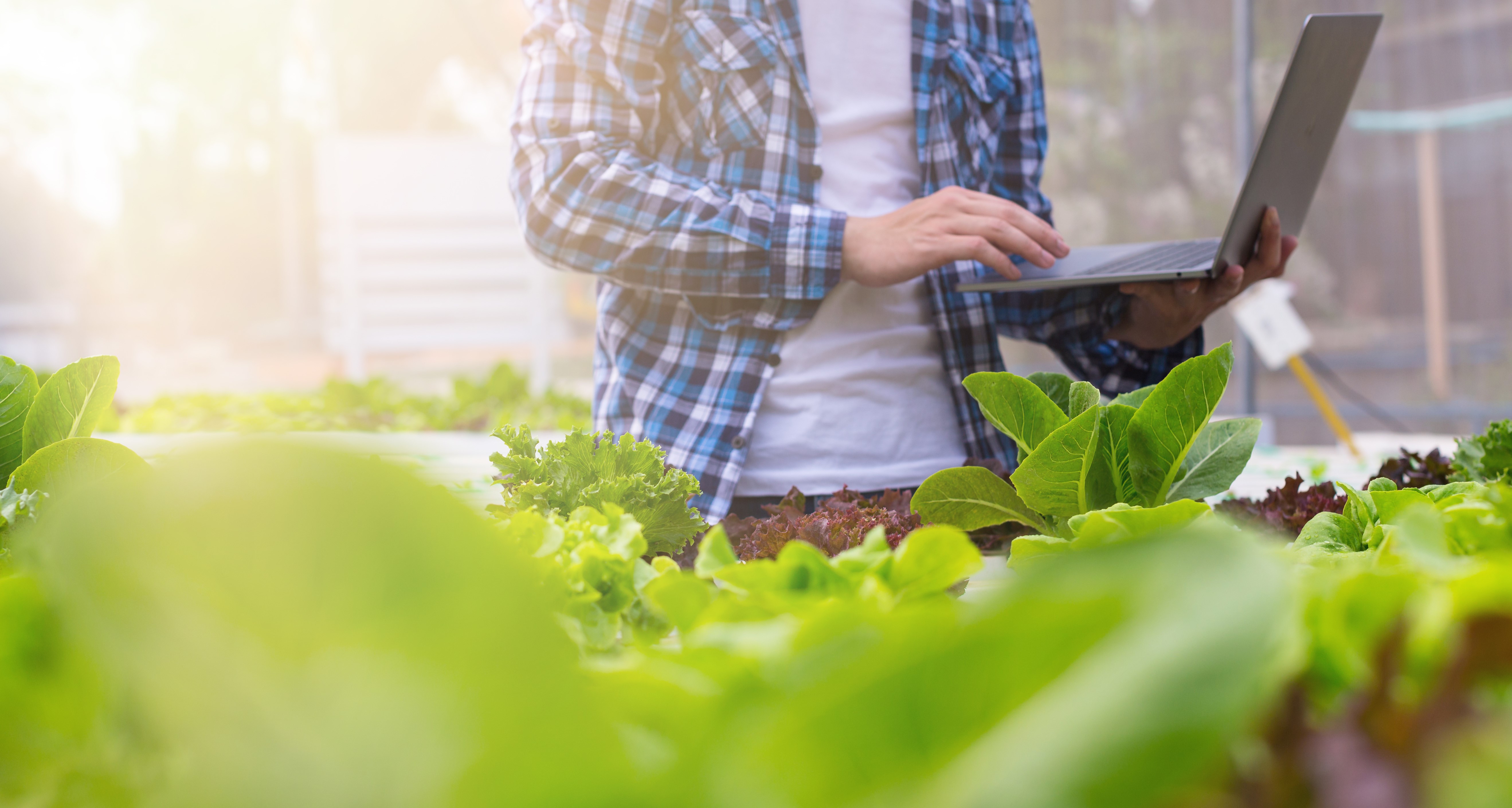 Man holding a laptop