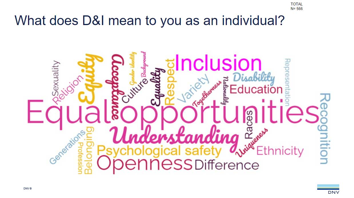 slide on what diversity and inclusion means