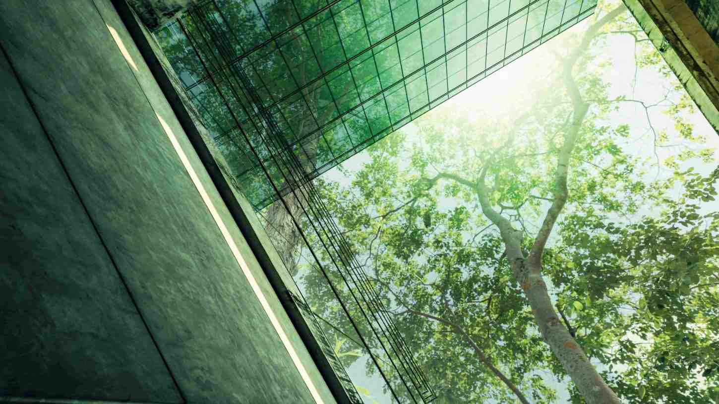 ISO 50001: Energy Management Certification