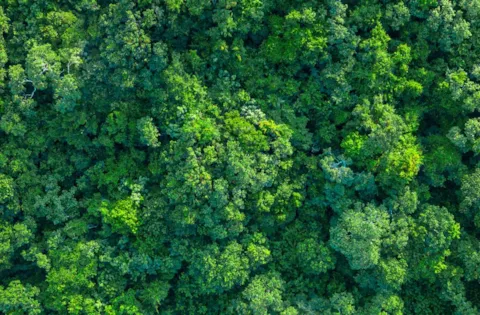 ISO 14001 - ympäristöjärjestelmästandardin päivitys
