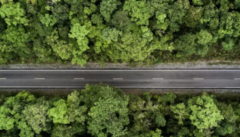 ISO 14001:2026 Siirtymän keskeiset asiat -kurssi (perustuu standardiin ISO/DIS 14001)