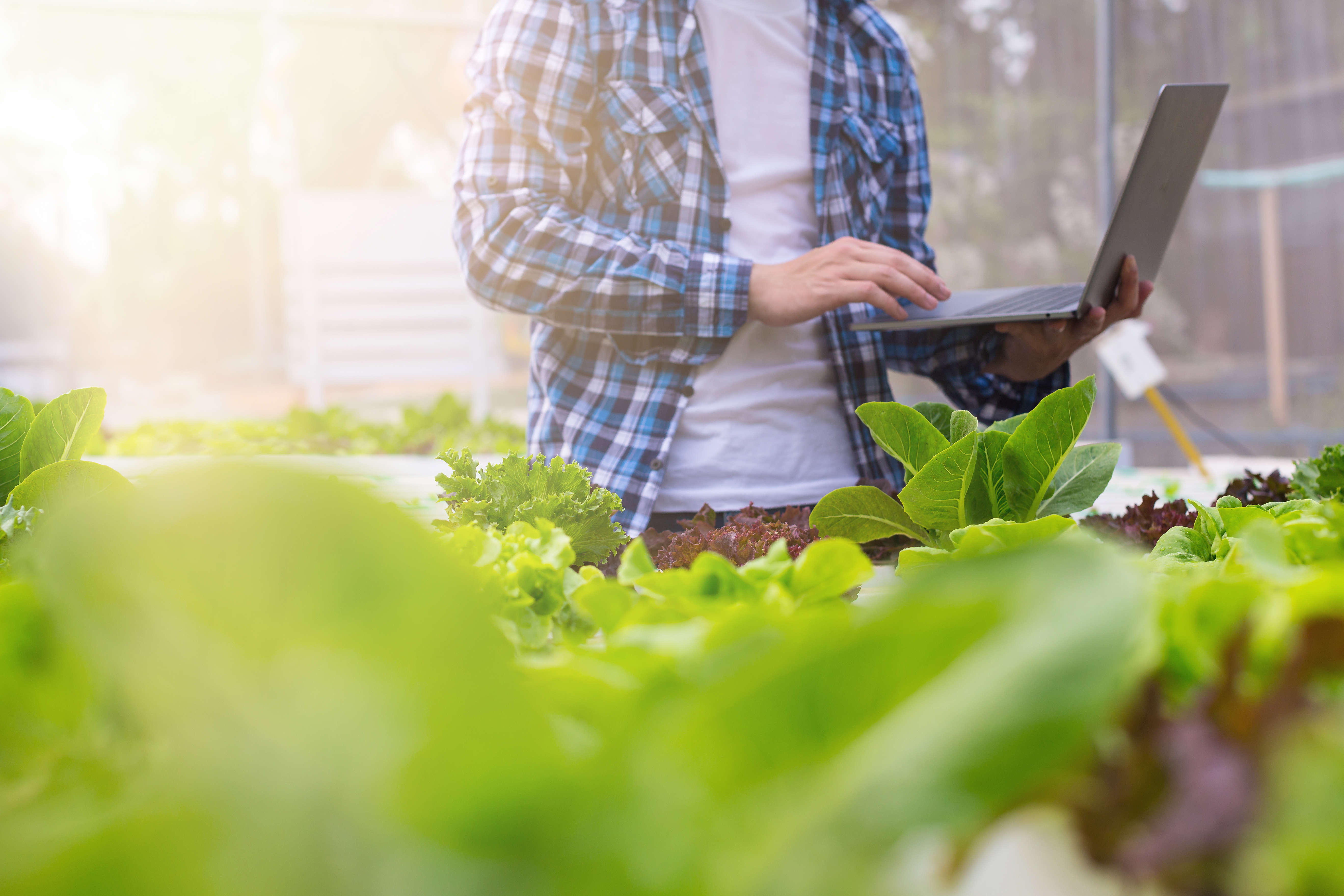 Tietoturva elintarviketurvallisuudessa