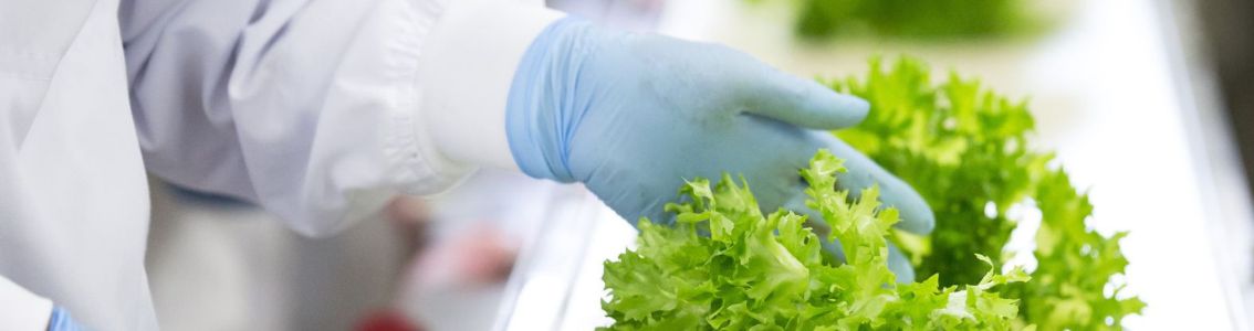 Mikä on elintarviketurvallisuuden hallintajärjestelmä?