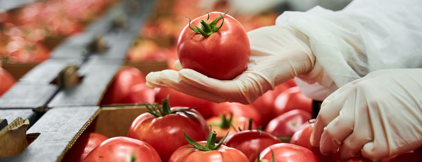 HACCP-periaatteet (vaarojen analysointi ja kriittiset valvontapisteet)