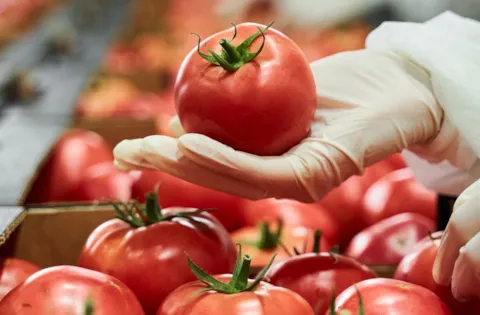 HACCP-periaatteet (vaarojen analysointi ja kriittiset valvontapisteet)