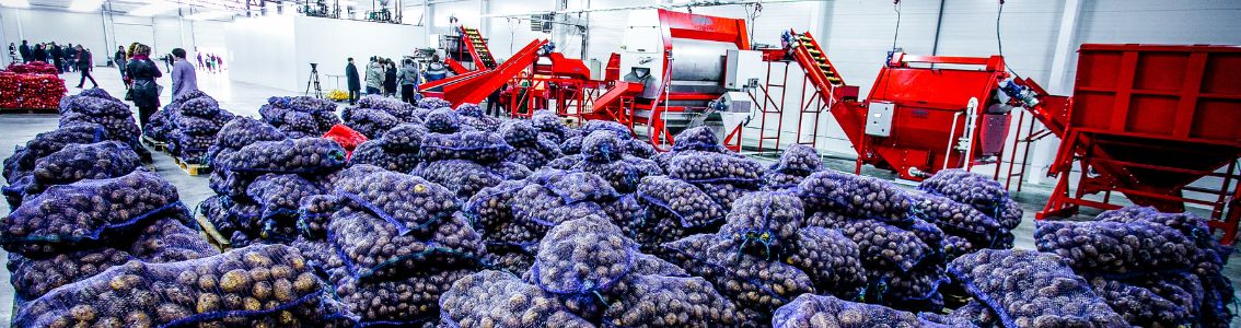 Vihanneksia ja elintarvikkeita suuressa varastossa