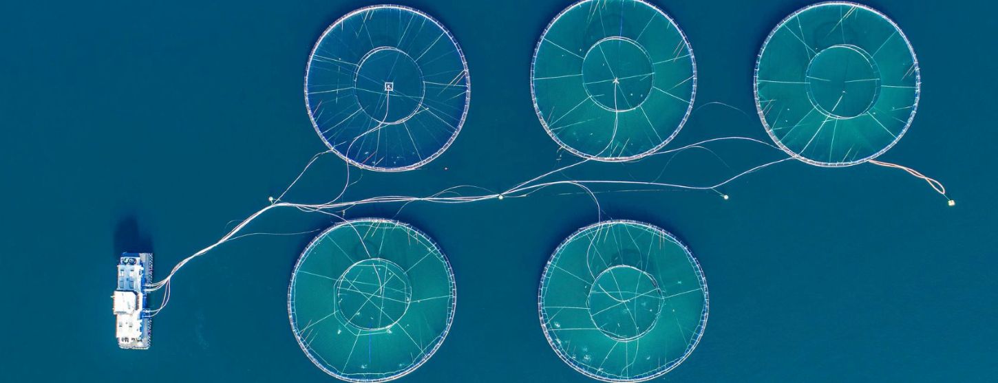 MSC- ja ASC-CoC-koulutus