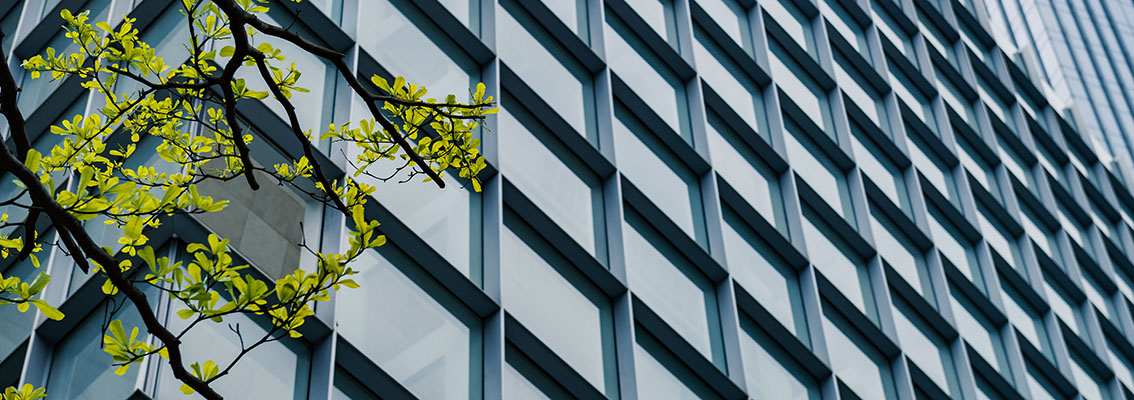 rakentaminen puun kanssa