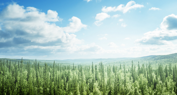 Espresso-tutkimus - Ympäristöjärjestelmäauditointien tulosten tilannekatsaus