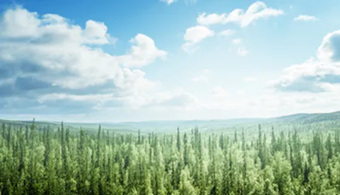 Espresso-tutkimus - Ympäristöjärjestelmäauditointien tulosten tilannekatsaus