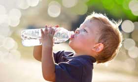 Elintarvikkeiden turvallisuus ja laatukulttuuri