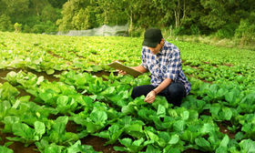 FSSC 22000 versio 6 -standardin tuntemus - e-Learning 1 h