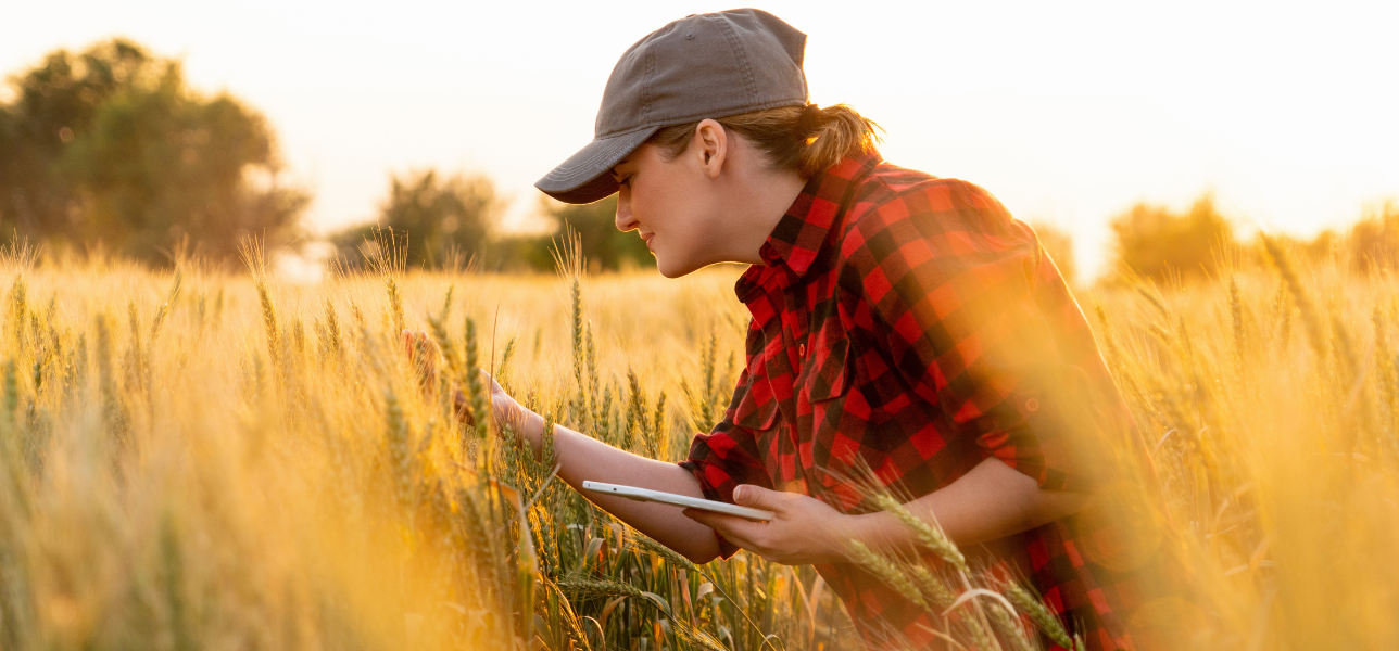 GLOBALG.A.P. IFA version 6