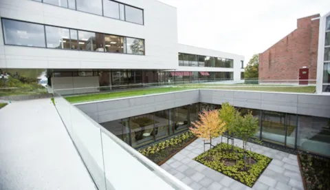 Our corporate governance report