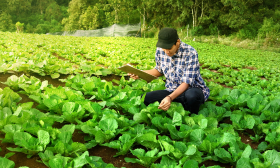 LEAF Marque sertifiointi