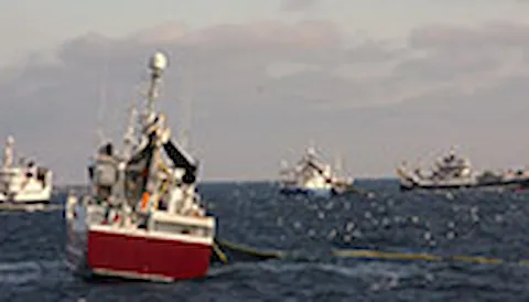 MSC-kalastusstandardi