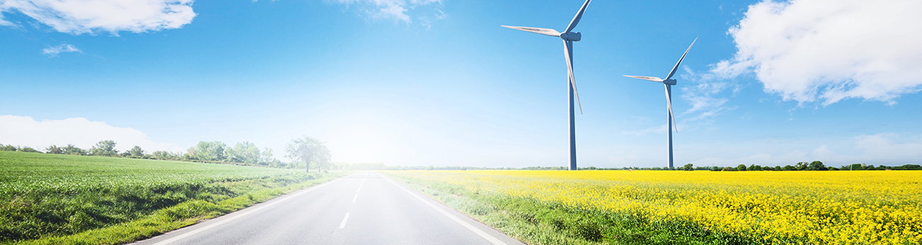 road to renewables, sunny field banner