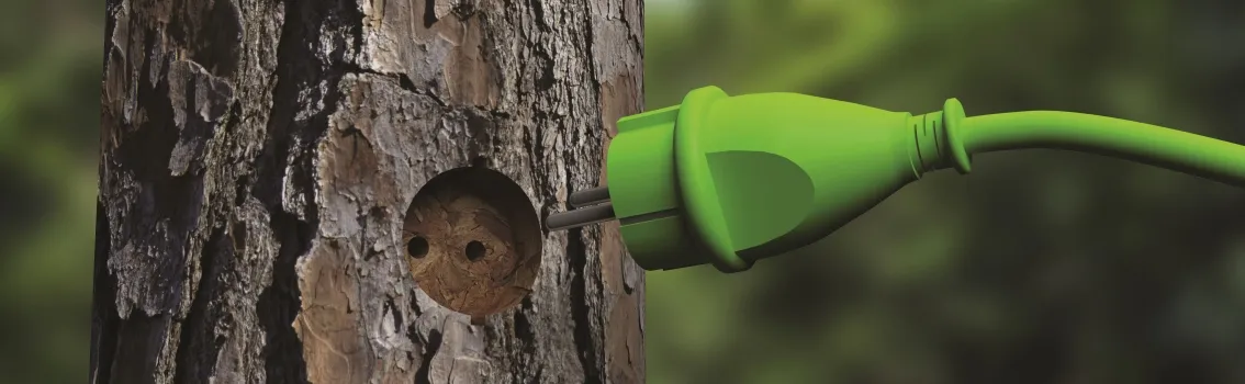 Tree plug