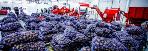 vegetables and groceries in big warehouse