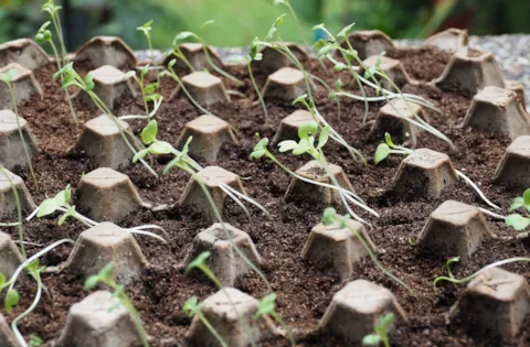 Espresso-tutkimus: Ympäristöauditointien tulokset - raportti