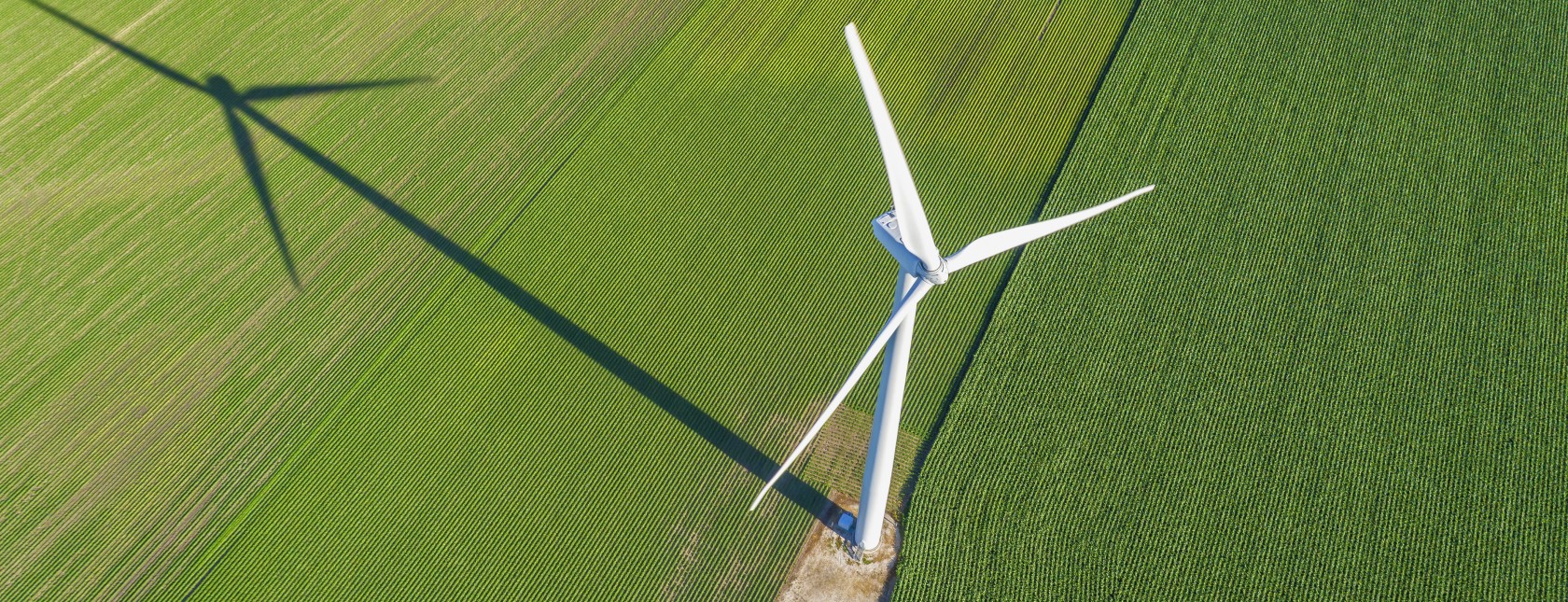 Tuulimylly vihreällä pellolla